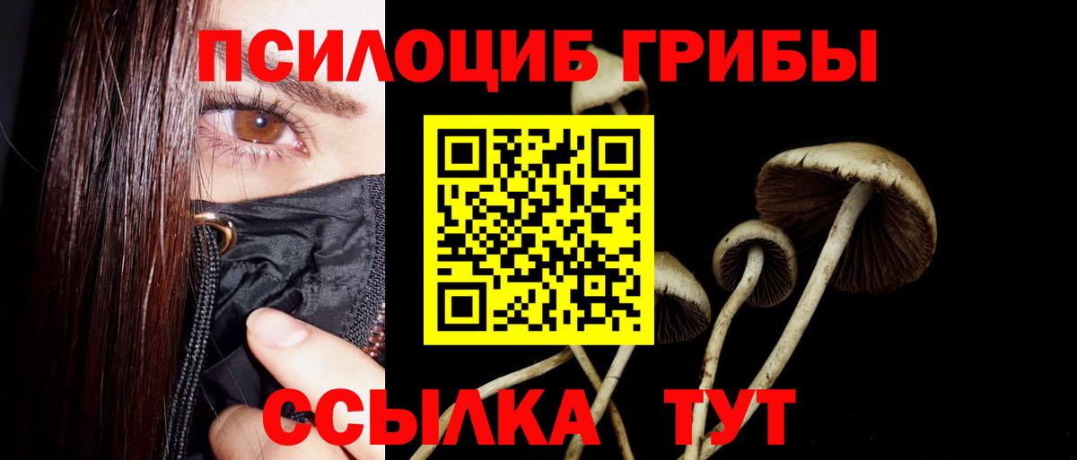Галлюциногенные грибы MAGIC MUSHROOMS Вязьма